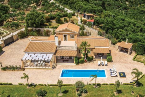 Olive Grove